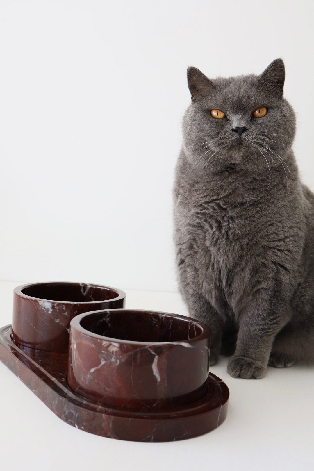 Pet Food Bowls & Tray Rosso Levanto - Bulimba Home