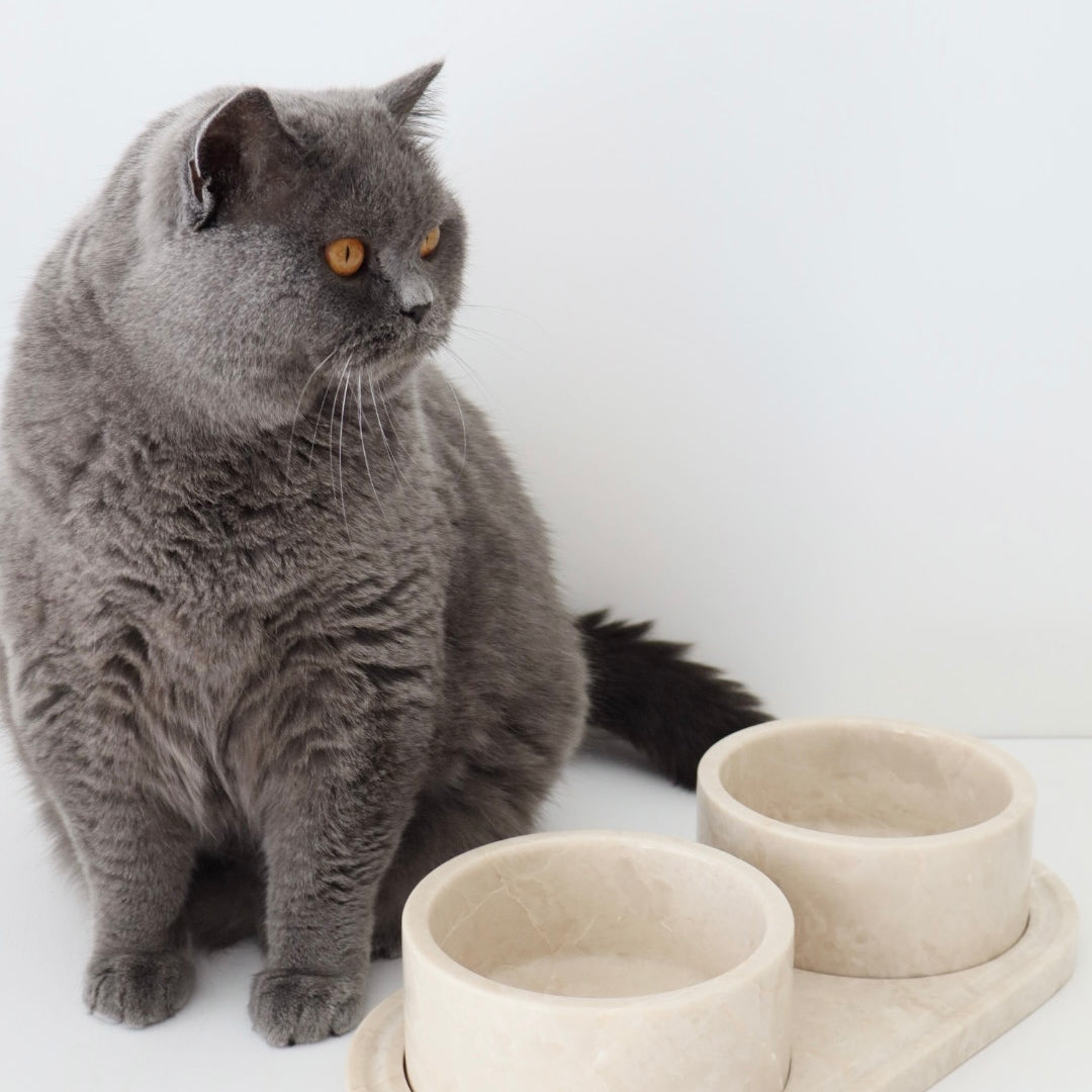 Bulimba home Beige marble cat and dog food bowl. featuring two pet bowls with tray.