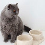 Bulimba home Beige marble cat and dog food bowl. featuring two pet bowls with tray.