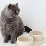 Bulimba home Beige marble cat and dog food bowl. featuring two pet bowls with tray.