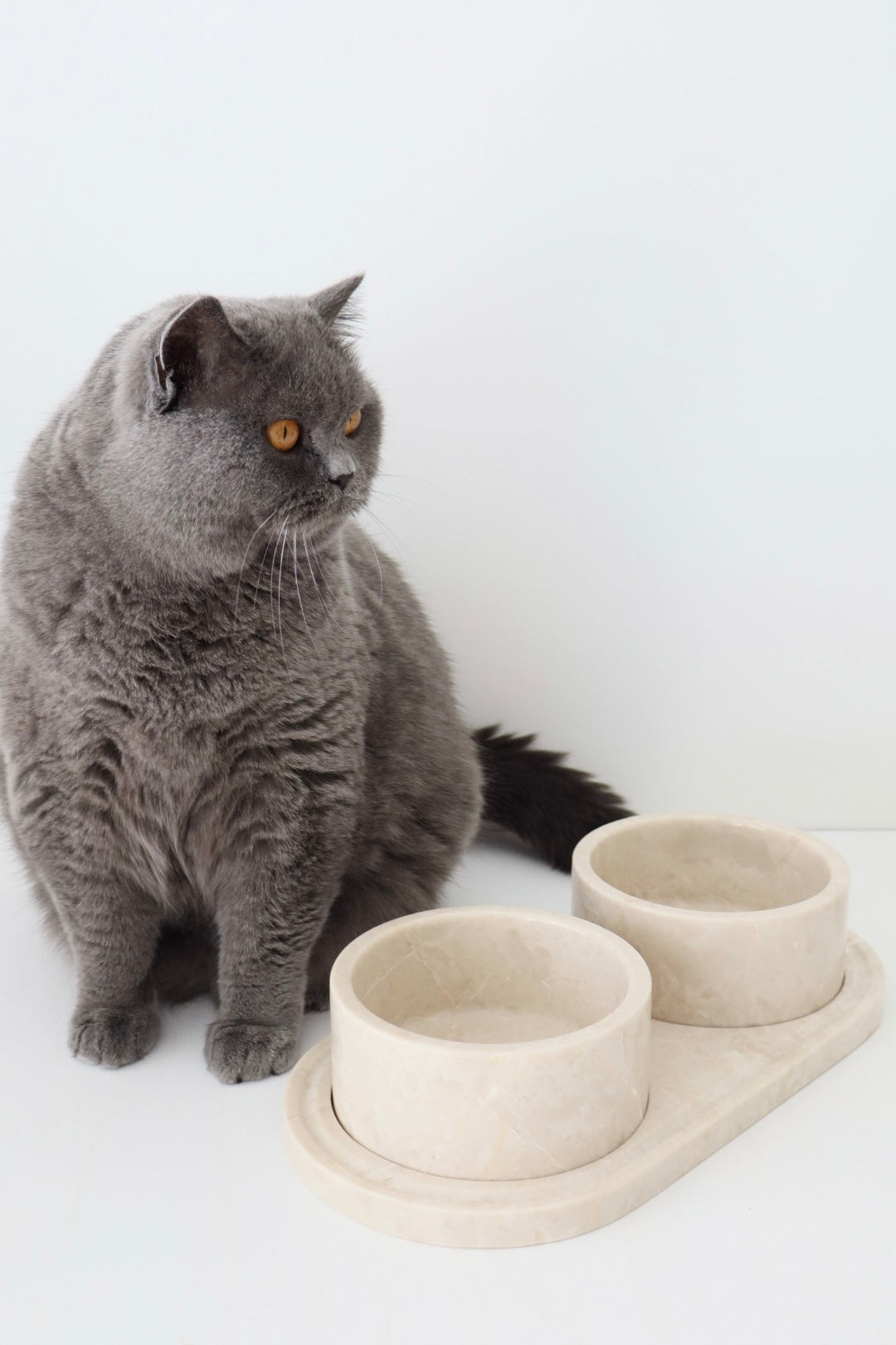 Bulimba home Beige marble cat and dog food bowl. featuring two pet bowls with tray.
