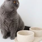 bulimba home marble beige food pet bowl and tray
