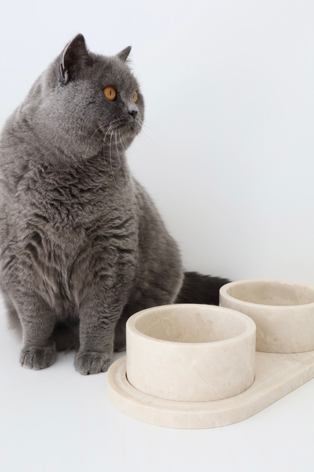 bulimba home marble beige food pet bowl and tray