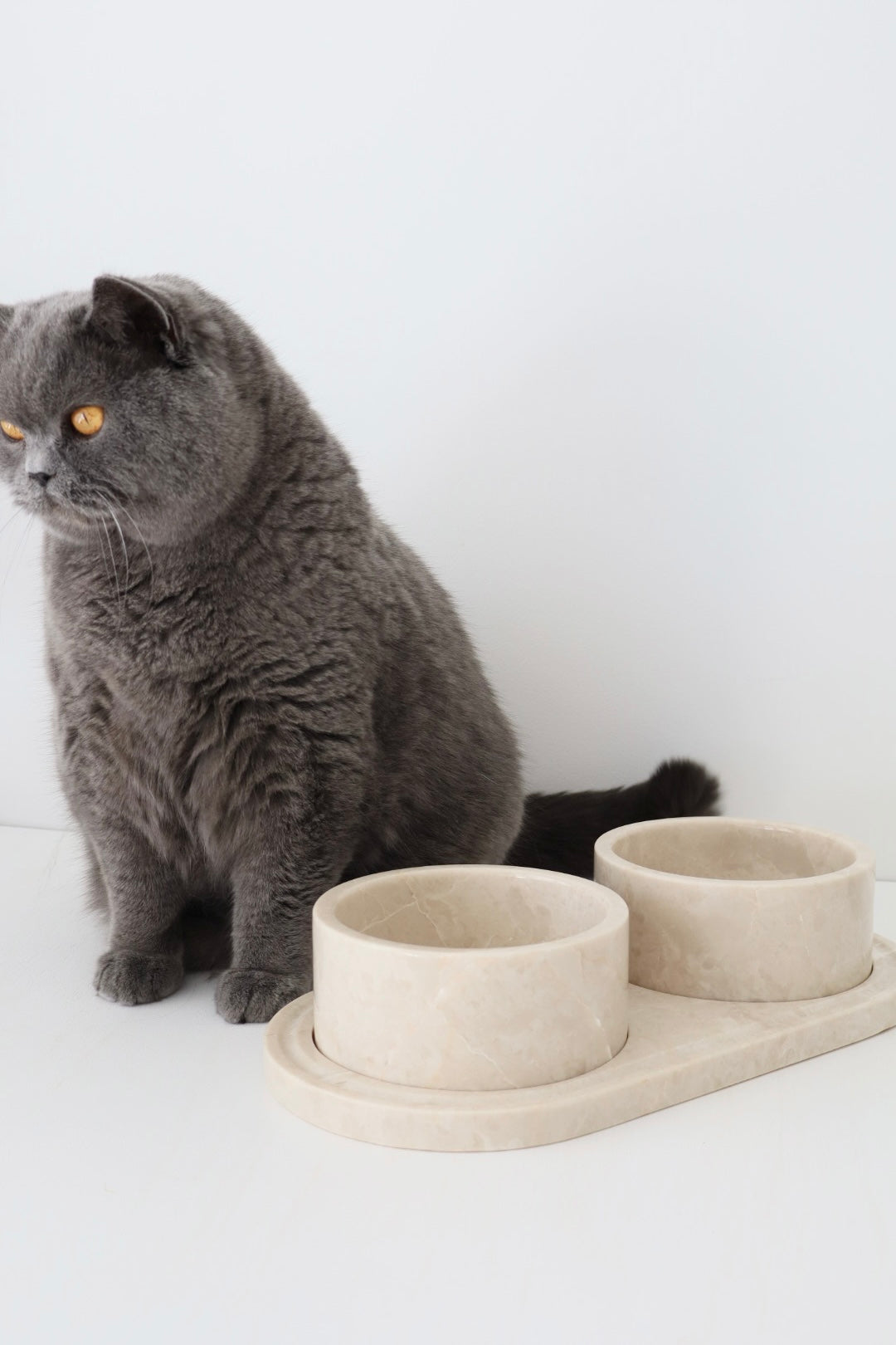 Bulimba home Beige marble cat and dog food pet bowl. featuring two pet bowls with tray.