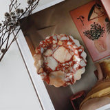 Scalloped Edge Dish Bulgari Red